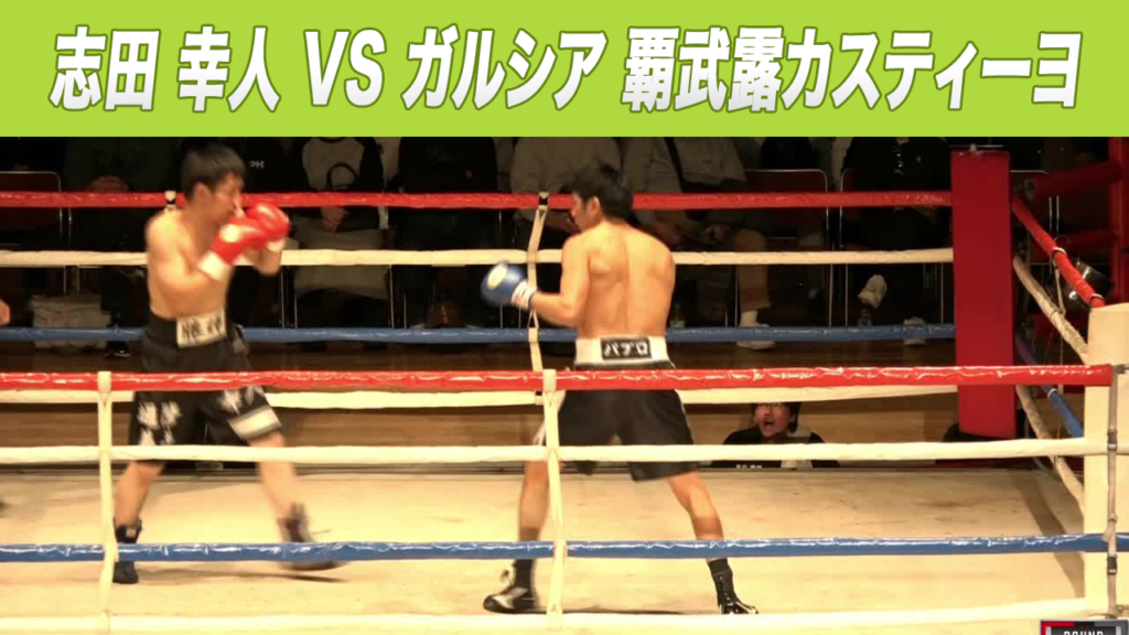 ガルシア覇武露カスティーヨ 過去試合