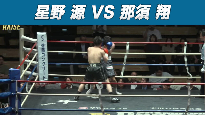 星野 源 VS 那須 翔