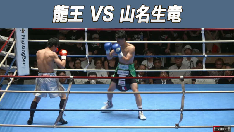龍王 VS 山名生竜